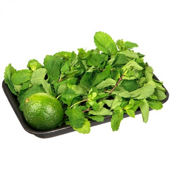 Набор свежей зелени для Мохито (мята, лайм) 150г подложка
